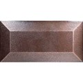 AM30-FS-PL